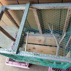 鳥小屋  自作の画像