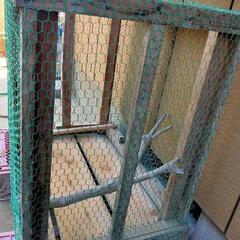鳥小屋  自作の画像