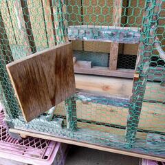 鳥小屋  自作の画像