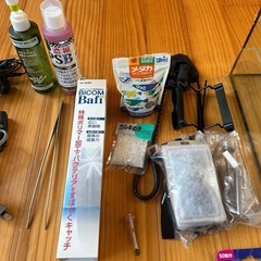 アクアリウム　水槽　メダカ　
初心者セット の画像