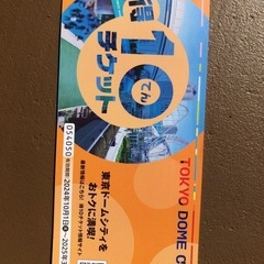 東京ドームシティ★得10チケット★1冊 10ポイント
