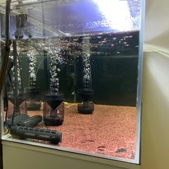 最終値下げ　アクリル水槽、水槽台、LEDライトセットの画像