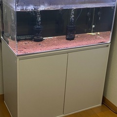 最終値下げ　アクリル水槽、水槽台、LEDライトセット