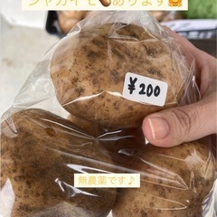 3/5（水）セール　野菜　じゃがいも　