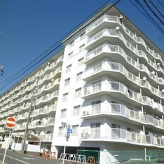 住吉カトレア3LDK リフォーム済
