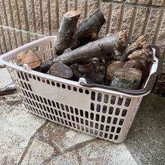 買い物かご一杯分の桜の木　薪　キャンプ　アウトドアの画像