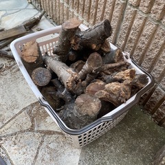 買い物かご一杯分の桜の木　薪　キャンプ　アウトドアの画像
