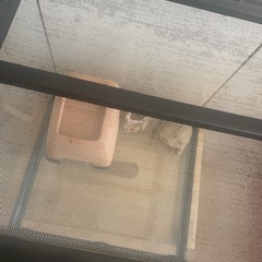 爬虫類又はハムスターなど小動物用ゲージの画像