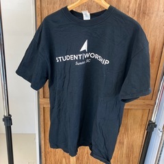HA2502-202 配送不可 GILDAN Tシャツ  ブラッ...