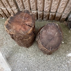 杏の木　丸太　薪　キャンプ　スエーデントーチの画像
