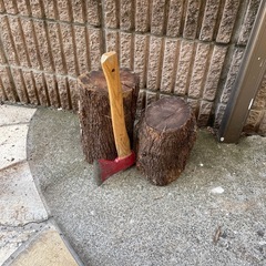 杏の木　丸太　薪　キャンプ　スエーデントーチの画像