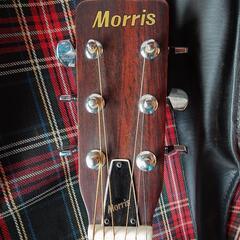 Morris　モーリス　ギター　w18  1975の画像