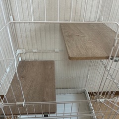 譲渡終わりましたの画像