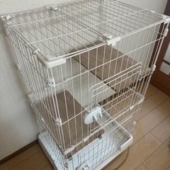 譲渡終わりましたの画像