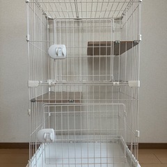 譲渡終わりました