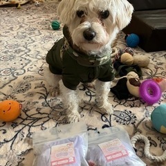 チョコ店長から🎁プレゼント