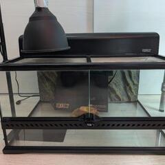 爬虫類ゲージ　エキゾテラ GEX EXOTERRA グラステラリ...
