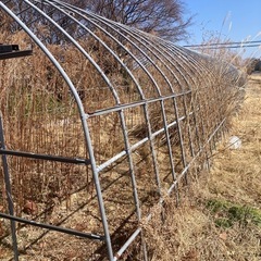 【値下げしました】ビニールハウス【購入者解体希望】 値下げしました】ビニールハウス【購入者解体希望】