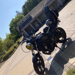バリオス2型　250 
