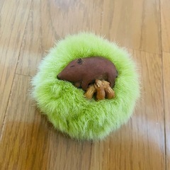 オルゴールあげます！