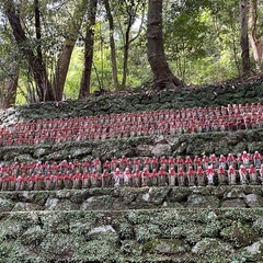 占い