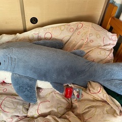 ふわふわどでかいサメ