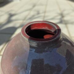 赤い花刺しの画像