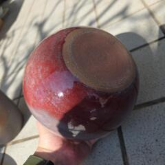 赤い花刺しの画像