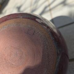 赤い花刺しの画像