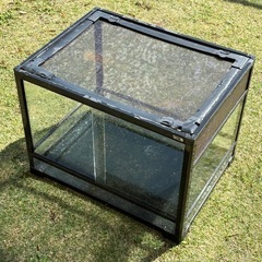 パンテオン 6045 中古の画像