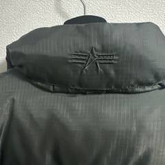 alphaindustries　ダウンジャケット　メンズの画像