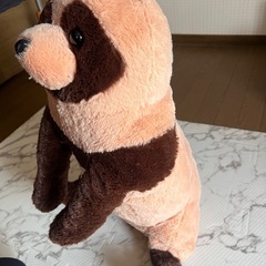 たぬき ぬいぐるみの画像