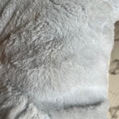 ディズニー ぬいぐるみの画像