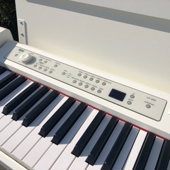 コルグ LP-380WHの画像