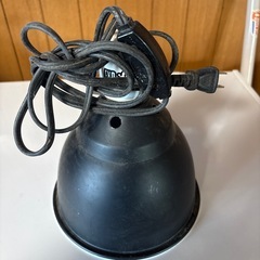 爬虫類用 ドームライト B品