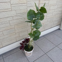 観葉植物 フェイク 飾り