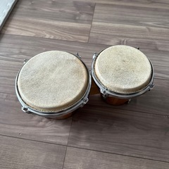 【決まりました】ボンゴ