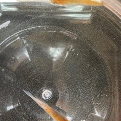 メダカ　三色　輝赤