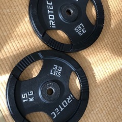 アイロテックプレート　15kg×2