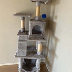 キャットタワーの画像