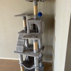キャットタワー
