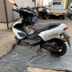 バイクadiva cc.? の画像