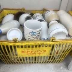 湯呑み！カゴごと持って行ってください
