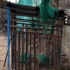 　譲る人が23日に決まっておりますm(._.)m       鉄　小屋