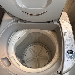 本日18時まで 洗濯機　の画像