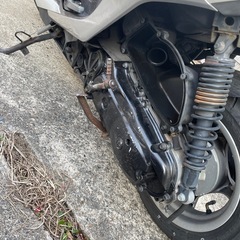 シグナス 3型　国内　おまけ付きの画像