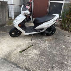 シグナス 3型　国内　おまけ付き