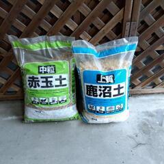 横須賀🆗④植木の土