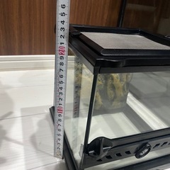 グラステラリウムナノ　爬虫類 両生類　飼育 テラリウム　ガラス ケース　ゲージ　ラスト
１個の画像