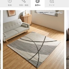 LOWYA カーペット　200×250 3月7日お引き渡し
